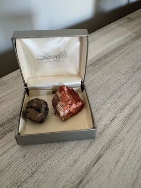 Vintage Stowell’s Box w/ Petrified Wood and Dark Min Crystal Natural Keepsakes